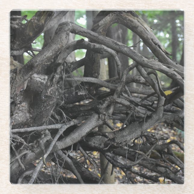 Dessous-de-verre En Verre L'amour d'un arbre tombé (Devant)