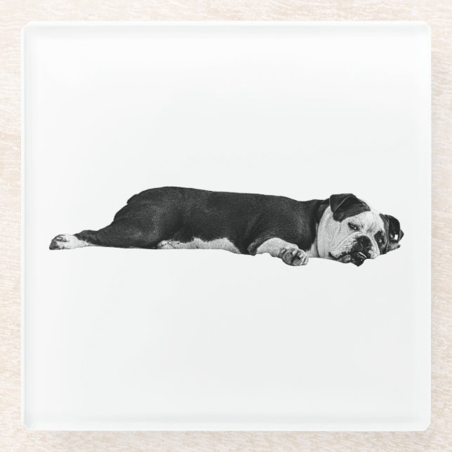 Dessous-de-verre En Verre Lazy Bulldog, Table nette (Devant)