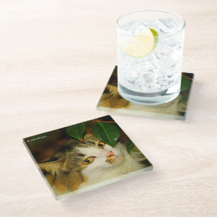 Dessous-de-verre En Verre Le chat Whimsical et la Camellia