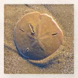 Dessous-de-verre En Verre Le dollar de sable a indiqué sur la plage Hilto