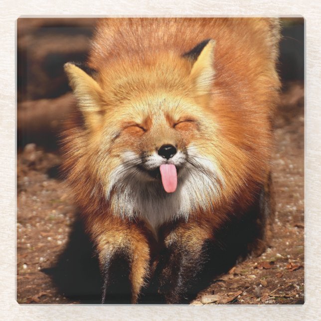 Dessous-de-verre En Verre Le Fox le collant est langue (Devant)