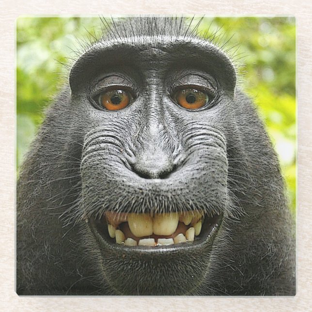 Dessous-de-verre En Verre Le singe macaque des Célèbes souriants (Devant)
