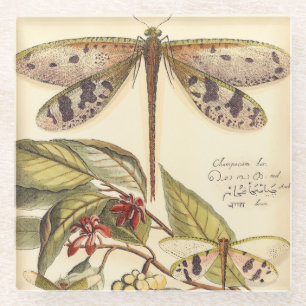Dessous-de-verre En Verre Libellules avec le feuille et le fruit