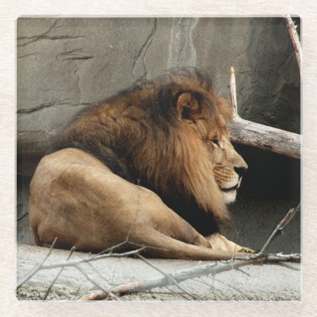 Dessous-de-verre En Verre Lion (Devant)