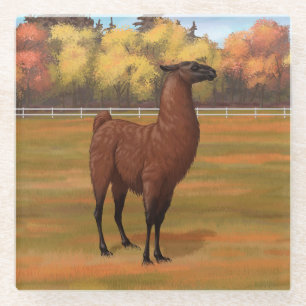 Dessous-de-verre En Verre Llama Brown dans les pâturages agricoles d'automne