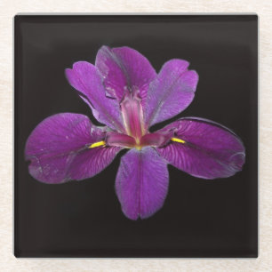 Dessous-de-verre En Verre Lousiana Black Gamecock Iris Dessous de verre en v