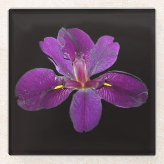 Dessous-de-verre En Verre Lousiana Black Gamecock Iris Dessous de verre en v