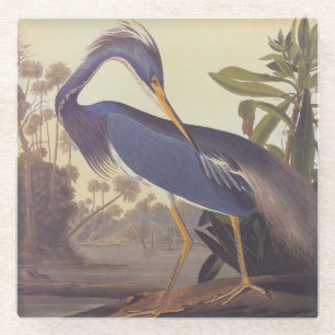 Dessous-de-verre En Verre Lousiana Heron en gris, vert et bleu par Audubon
