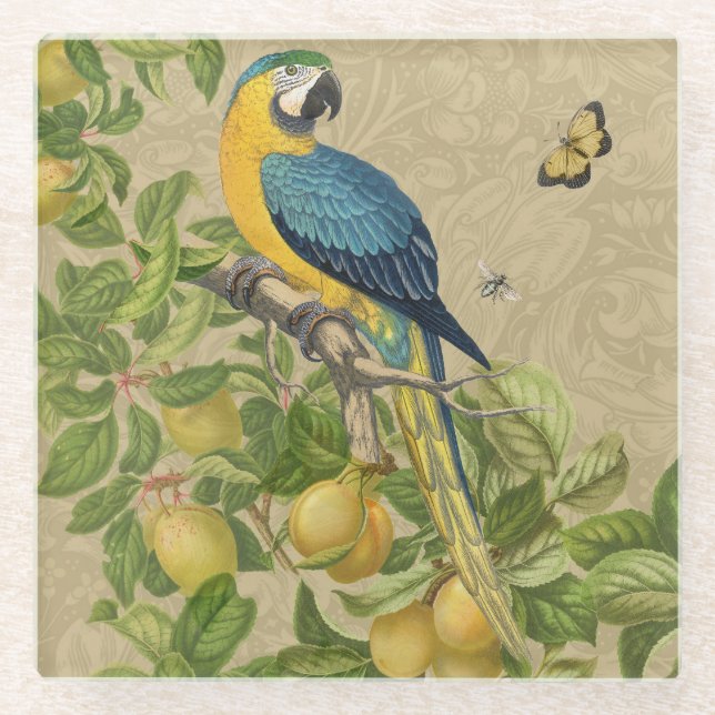 Dessous-de-verre En Verre Macaw Blue Jaune Tropical Jungle Antique (Devant)