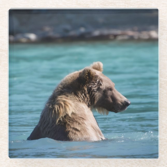 Dessous-de-verre En Verre Majestic Alaskan Brown Bear (Devant)
