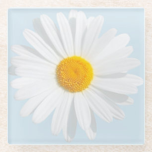 Dessous-de-verre En Verre marais blanc