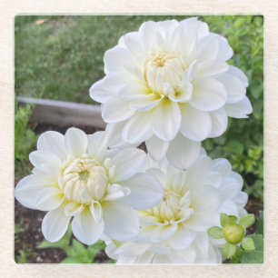 Dessous-de-verre En Verre Mariée à être Dessous de verre Dahlia, Fleur blanc