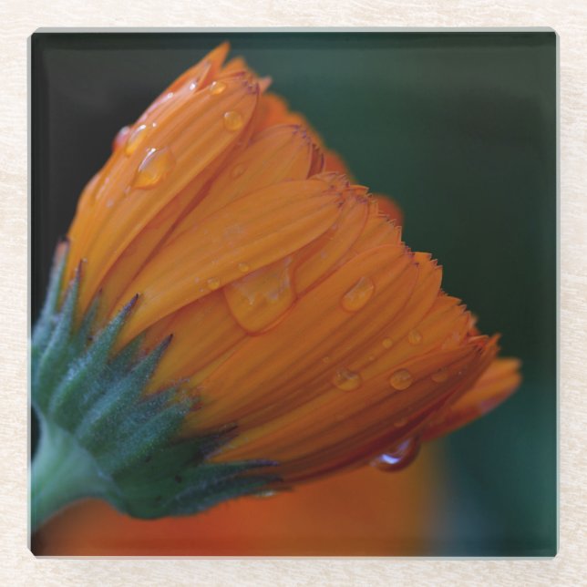 Dessous-de-verre En Verre Marigold orange (Devant)