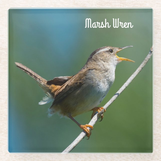 Dessous-de-verre En Verre Marsh Wren (Devant)