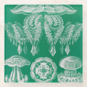 Dessous-de-verre En Verre Méduses, Discomedusae par Ernst Haeckel