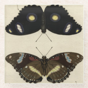 Dessous-de-verre En Verre Mélange coloré de papillon sur l'arrière - plan