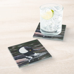 Dessous-de-verre En Verre Merganser Duck à capuchon dans l'étang