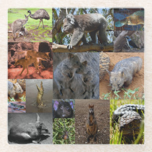 Dessous-de-verre En Verre Merveilles sauvages : un collage photographique au