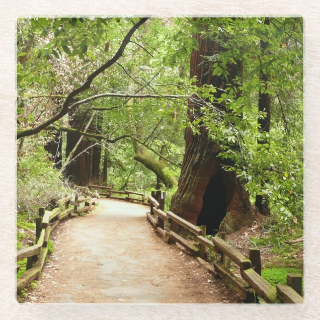 Dessous-de-verre En Verre Muir Woods Path II Nature Photography (Devant)