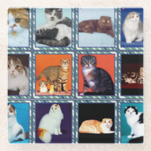 Dessous-de-verre En Verre murale de pliage écossais