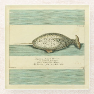 Dessous-de-verre En Verre Narwhal Antique Baleine Aquarelle Art scientifique