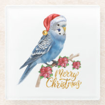 Noël de perruche