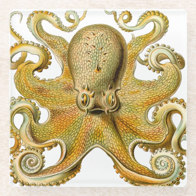 Dessous-de-verre En Verre Octopus illustration antique monstre marin (Devant)