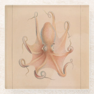 Dessous-de-verre En Verre Octopus vintage 1851 Eledon Aldrovandi