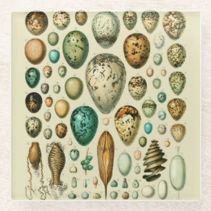 Dessous-de-verre En Verre Œufs d'oiseaux vintage Art de frai de poisson fran