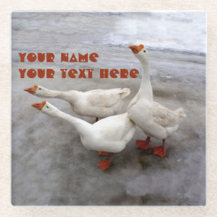 Dessous-de-verre En Verre Oie blanche