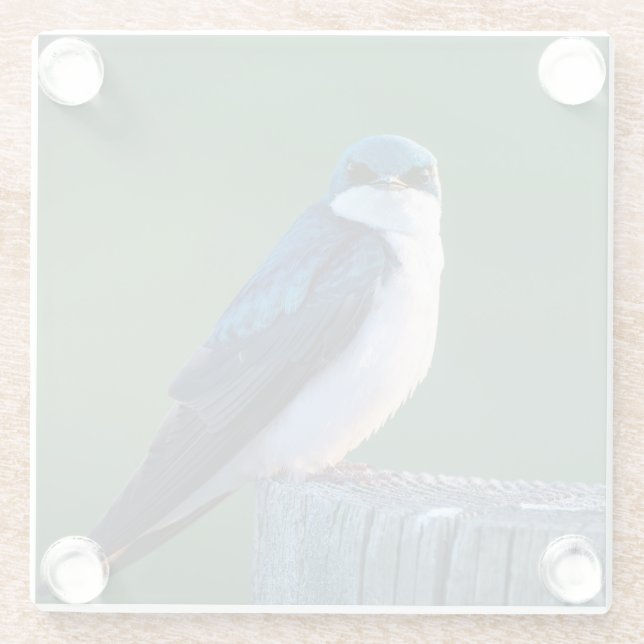 Dessous-de-verre En Verre Oiseau curieux (Dos)