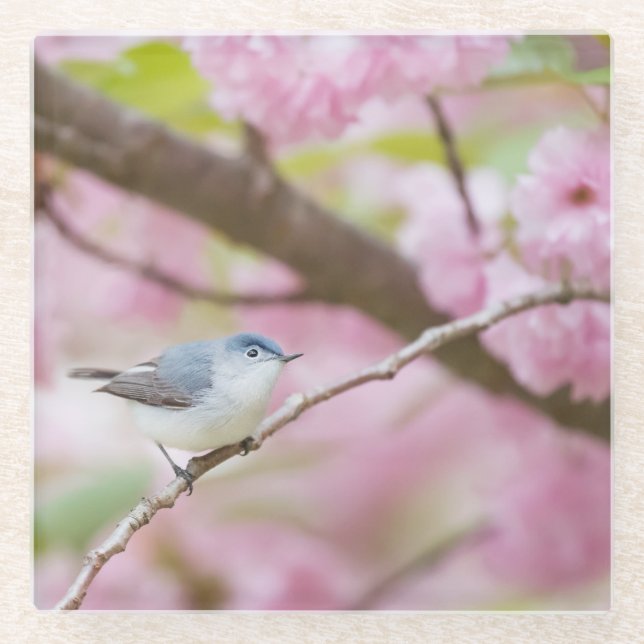 Dessous-de-verre En Verre Oiseau dans l'arbre en fleurs (Devant)