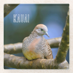 Dessous-de-verre En Verre Oiseau dans l'arbre Kauai Hawaï