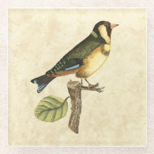 Dessous-de-verre En Verre Oiseau jaune et vert perché sur une petite branche