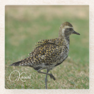 Dessous-de-verre En Verre Oiseau Kauai Hawaii (photo prise par moi)