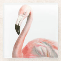 Oiseau tropical de Flamant rose