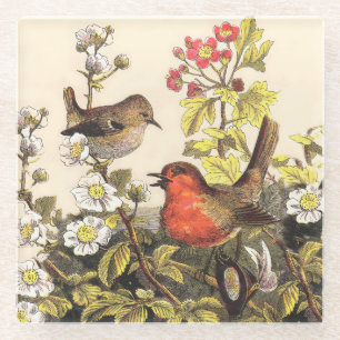 Dessous-de-verre En Verre Oiseaux chanteurs Robin printanier vintage Botaniq