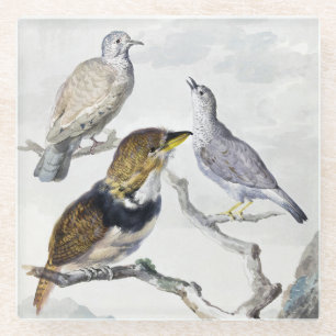 Dessous-de-verre En Verre Oiseaux sur une branche dans un ton neutre élégant