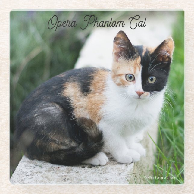 Dessous-de-verre En Verre Opera Phantom Chat (Devant)