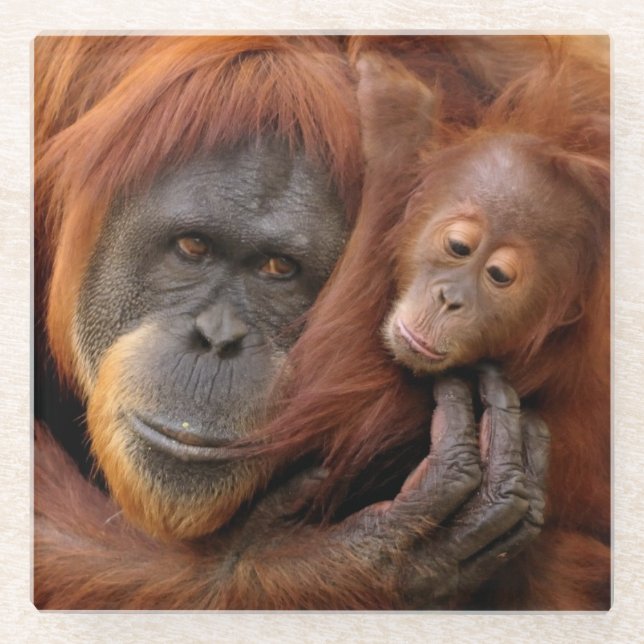 Dessous-de-verre En Verre Orang-outan de mère et de bébé (Devant)