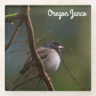Dessous-de-verre En Verre Oregon Junco