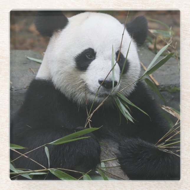 Dessous-de-verre En Verre Panda géant (Devant)