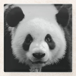 Dessous-de-verre En Verre Panda Pop Art