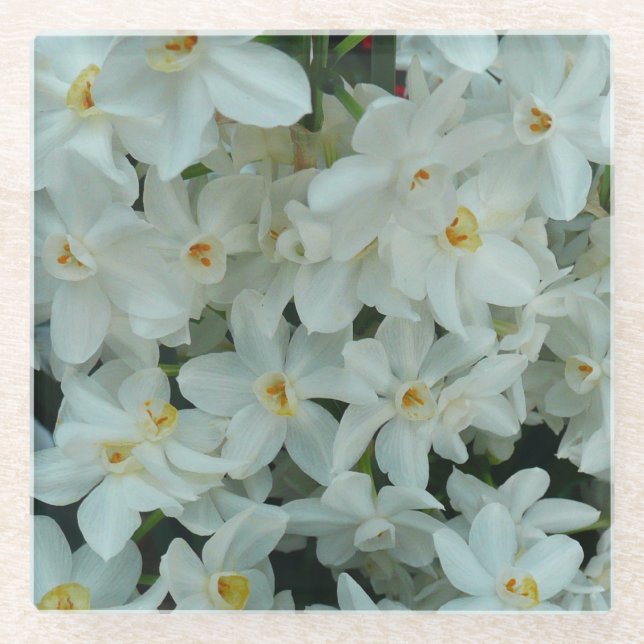 Dessous-de-verre En Verre Paperwhite Narcissus Fleurs blanches délicates (Devant)