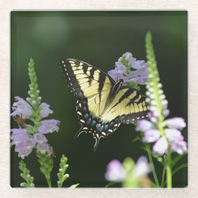 Dessous-de-verre En Verre Papillon Dans Le Jardin (Devant)