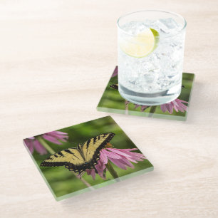 Dessous-de-verre En Verre Papillon swallowtail tigré sur dessous de verre à