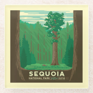 Dessous-de-verre En Verre Parc national de Sequoia