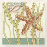 Dessous-de-verre En Verre Partie Shell multicolore<br><div class="desc">Charikilia Zarris est une artiste talentueuse connue pour ses oeuvres d'art océaniques. Ses images sont paisibles et calmes vous relaxant avec chaque photo. Obtenez cette oeuvre d'art nautique avec une étoile de mer et une coquille Conch étant le centre de tout, bordé de belle varech. Cette image sera très belle...</div>