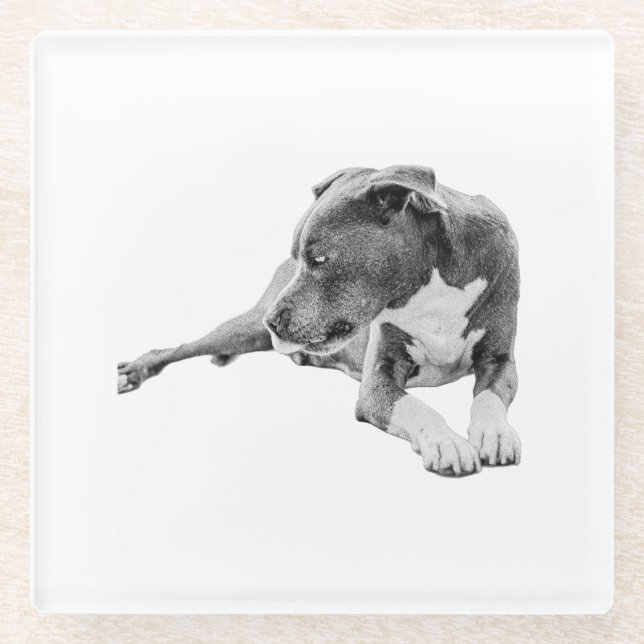 Dessous-de-verre En Verre Pause d'automne (Devant)