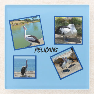 Dessous-de-verre En Verre Pelicans Le Monde Le Plus Froid Oiseau Quatre Cadr